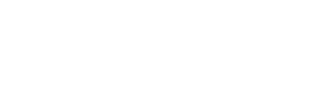Feed